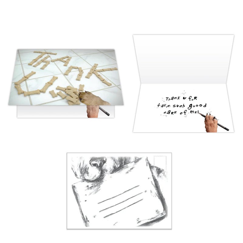 Dog Speak Thank You Letter â€“ Pet Sitter Appreciation Card â€“ Dog Paw with Treats Design, 4.75" x 6.75" â€“ Includes Envelope, Thoughtful Pet Care Thank You - Image 5